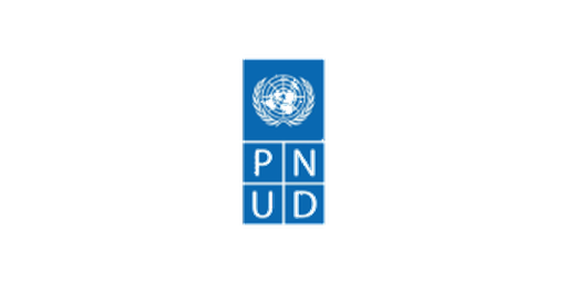19_pnud