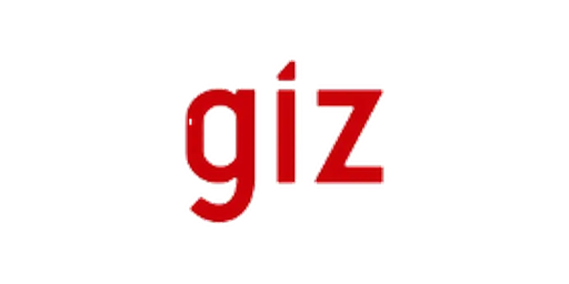 25_giz